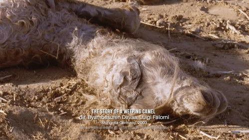 Women Make Film: A New Road Movie Through Cinema Season 1 Episode 5 - Adult/Child, Economy, Editing