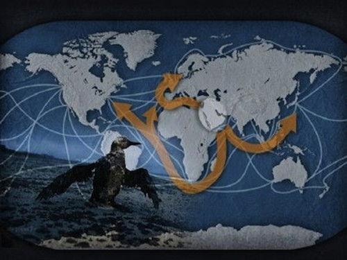 Mapping the World Season 14 Episode 21 - Episode 21