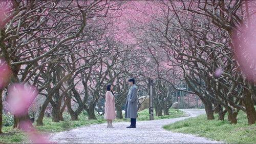 Shine on Me Season 1 Episode 24 - Confirming the Relationship