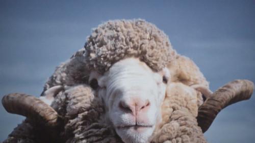 North Shore Season 1 Episode 3 - Episode 3