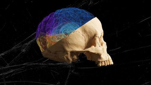 NOVA Season 46 Episode 22 - The Violence Paradox