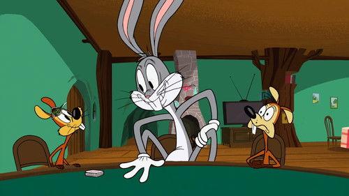 New Looney Tunes Season 1 Episode 17 - Wabbit's Wild