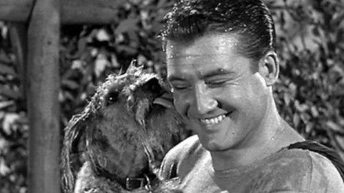 undefined Season 2 Episode 9 - The Dog Who Knew Superman