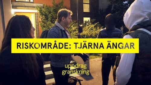 Uppdrag granskning Season 22 Episode 2 - Episode 2