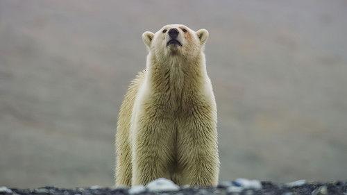 Frozen Planet II Season 1 Episode 6 - Our Frozen Planet