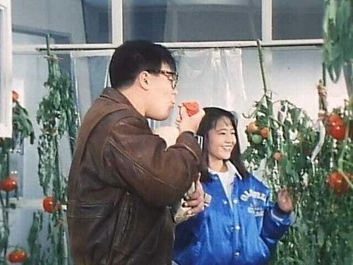 Chōjin Sentai Jetman Season 1 Episode 46 - The Tomato Field's Great Demon King