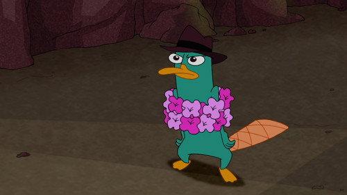 undefined Season 2 Episode 53 - Phineas and Ferb Hawaiian Vacation (1)