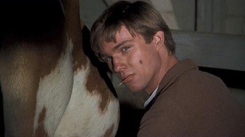 The Waltons Season 1 Episode 14 - The Minstrel