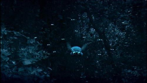 Minuscule: The Private Life of Insects Season 1 Episode 18 - A Bee's Night Out