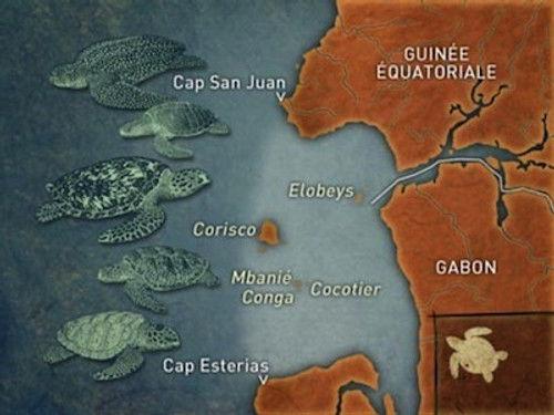 Mapping the World Season 14 Episode 7 - Episode 7