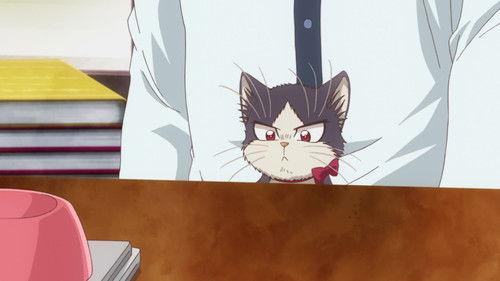 My Roommate is a Cat Season 1 Episode 11 - Feelings Crossing