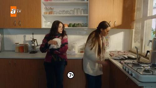 Street Birds Season 2 Episode 21 - Episode 42