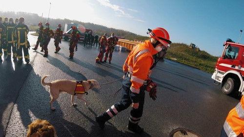 Feuer & Flamme Season 4 Episode 5 - Rescue after a traffic accident | Exercise with the high-altitude rescuers and the rescue dog squad