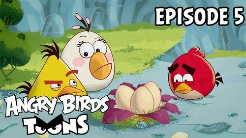 Angry Birds Toons Season 1 Episode 5 - Egg Sounds