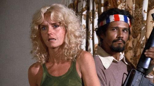 Police Woman Season 3 Episode 10 - The Death of a Dream