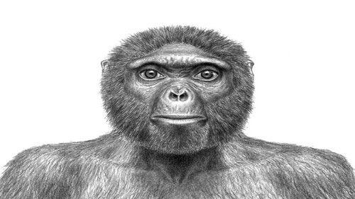 Ulisse - Il piacere della scoperta Season 10 Episode 1 - La straordinaria storia dell'uomo (prima parte) (seconda versione)