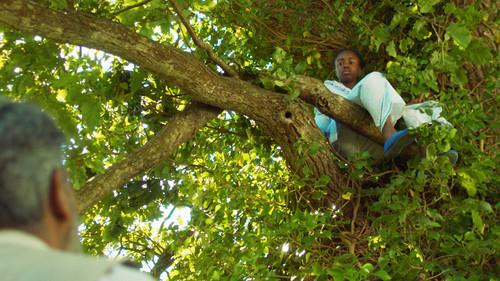 Malory Towers Season 5 Episode 8 - The Malory Oak