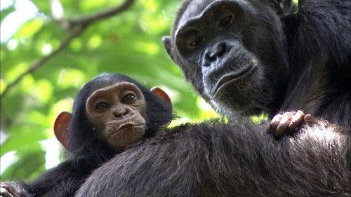 undefined Season 1 Episode 3 - Congo