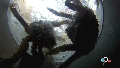 Deadliest Catch Season 9 Episode 5 - Judgement Day
