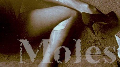 undefined Season 13 Episode 8 - Educated Guess