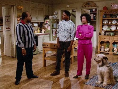 Family Matters Season 1 Episode 13 - Man's Best Friend