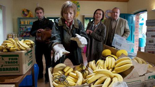 SOKO Wismar Season 9 Episode 3 - Episode 3