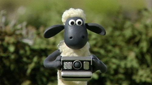 Shaun the Sheep Season 1 Episode 15 - Shaun Shoots the Sheep