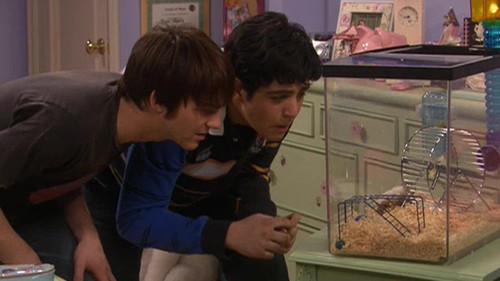 Drake & Josh Season 4 Episode 13 - Megan's Revenge