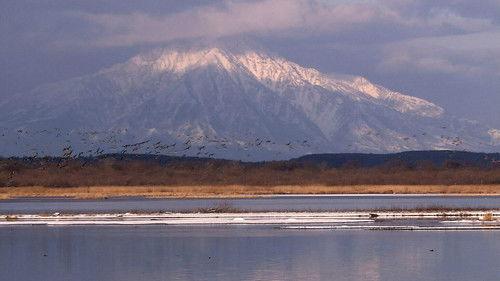 Wild Hokkaido! Season 2 Episode 24 - Sarobetsu Plain