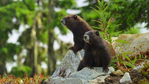 Island of the Sea Wolves Season 1 Episode 2 - Summer