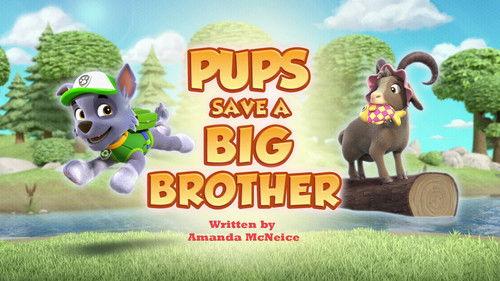 PAW Patrol Season 12 Episode 9 - Pups Save a Big Brother