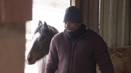 90 Day Fiancé Season 9 Episode 8 - Get Off Your High Horse