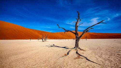 Ulisse - Il piacere della scoperta Season 2 Episode 6 - Viaggio nel nulla