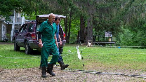 The Incredible Dr. Pol Season 19 Episode 2 - Dramatic Paws