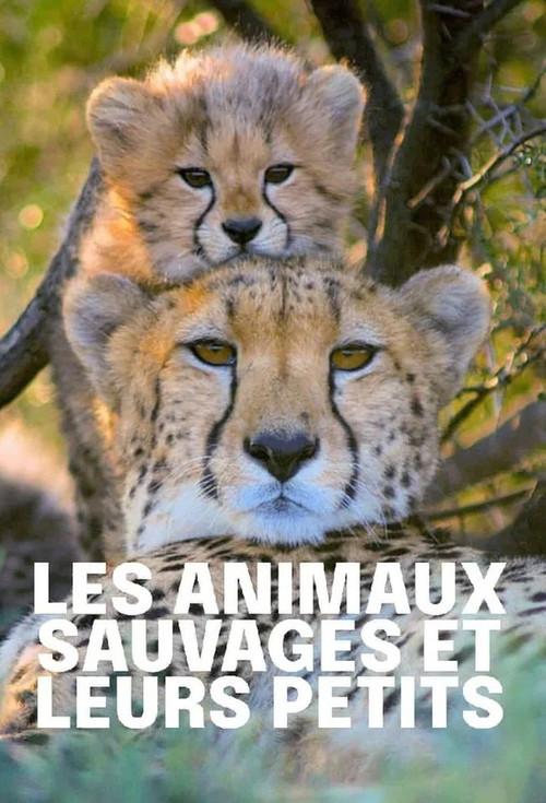 Tierkinder der Wildnis poster