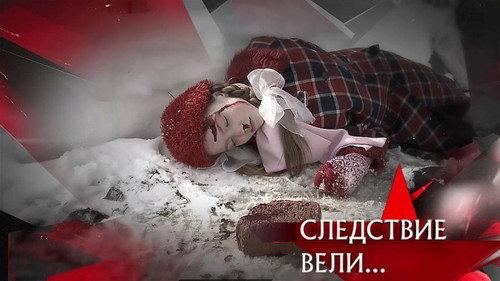 The investigation was conducted Season 13 Episode 10 - Episode 10