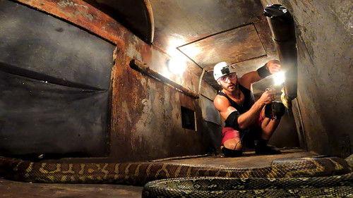 I'm a Celebrity...Get Me Out of Here! Season 22 Episode 16 - Episode 16