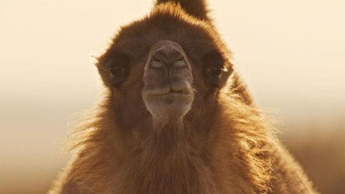 undefined Season 1 Episode 3 - Heat