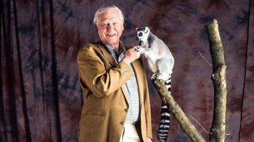 The Life of Mammals Season 1 Episode 7 - Return to the Water