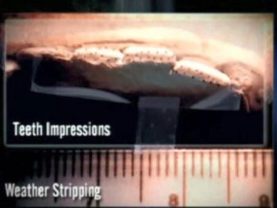 Forensic Files Season 7 Episode 6 - A Bite Out of Crime