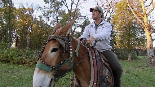 Dirty Jobs Season 3 Episode 3 - Mule Logger