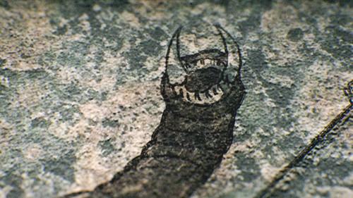 Strange Evidence Season 7 Episode 8 - India's River Monster