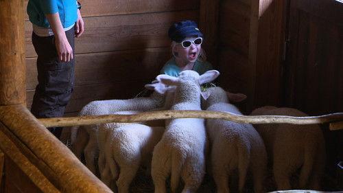 Dyrepasserne Season 5 Episode 10 - Episode 10