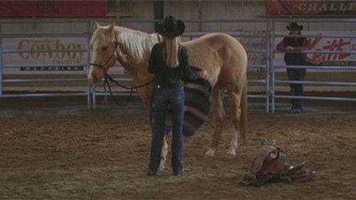 Heartland Season 3 Episode 17 - Ring of Fire