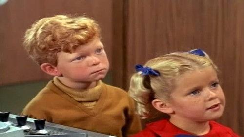 Family Affair Season 2 Episode 28 - The Mrs. Beasley Story