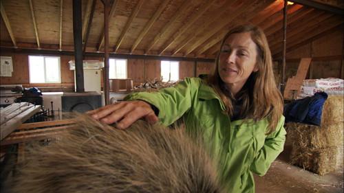 Dr. Oakley, Yukon Vet Season 3 Episode 8 - Cat Out of Hell