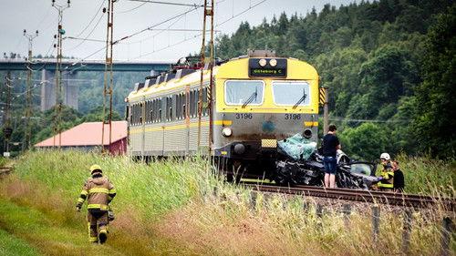 Uppdrag granskning Season 19 Episode 5 - Episode 5