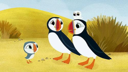 Puffin Rock Season 3 Episode 10 - The Perfect Spot