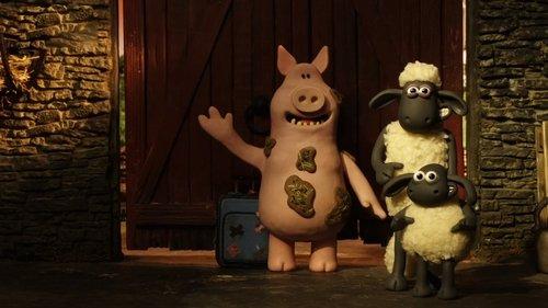 Shaun the Sheep Season 5 Episode 7 - Dodgy Lodger