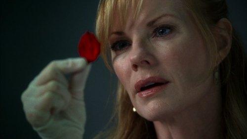 undefined Season 7 Episode 3 - Toe Tags